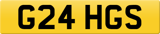 G24HGS