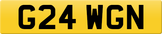 G24WGN