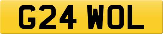 G24WOL