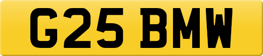 G25BMW