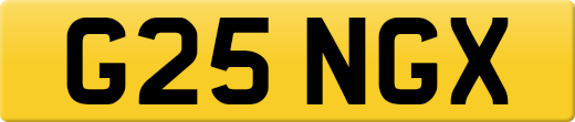 G25NGX