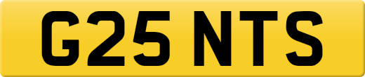 G25NTS
