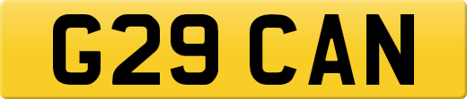 G29CAN