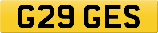 G29GES