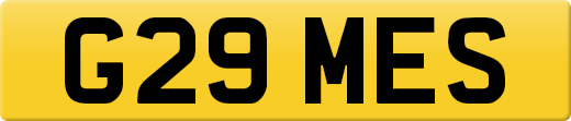G29MES