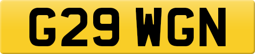 G29WGN