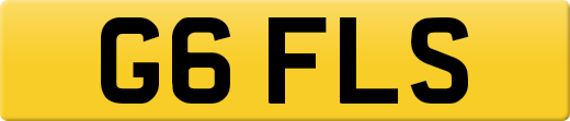 G6FLS