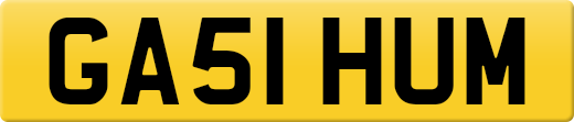 GA51HUM