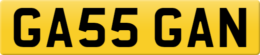 GA55GAN