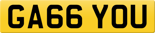 GA66YOU