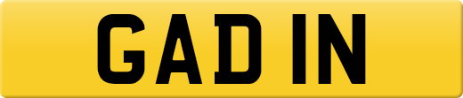 GAD1N