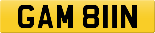GAM811N
