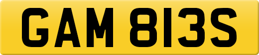 GAM813S