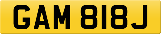 GAM818J
