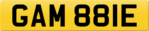 GAM881E