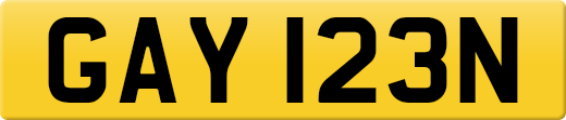 GAY123N
