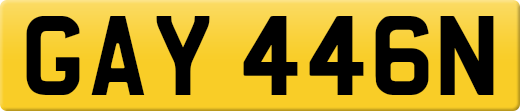 GAY446N