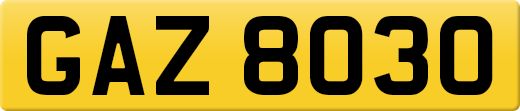 GAZ8030