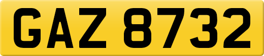 GAZ8732