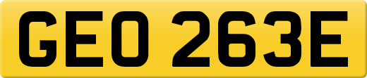 GEO263E