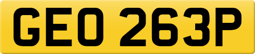 GEO263P