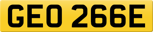 GEO266E