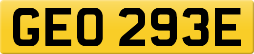 GEO293E