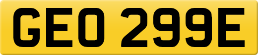 GEO299E