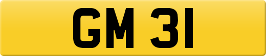 GM31