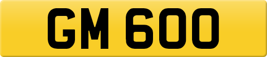 GM600