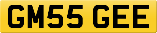 GM55GEE