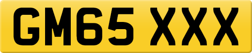 GM65XXX