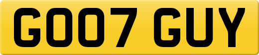 GO07GUY