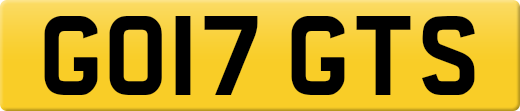 GO17GTS