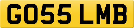 GO55LMB