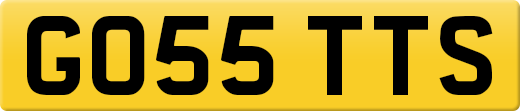 GO55TTS