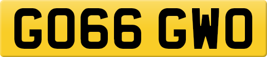 GO66GWO