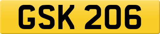 GSK206
