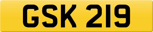 GSK219