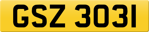 GSZ3031