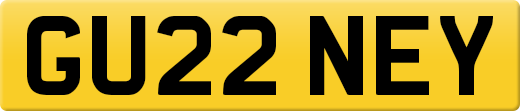 GU22NEY