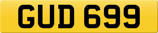 GUD699