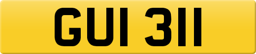 GUI311