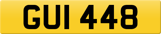 GUI448