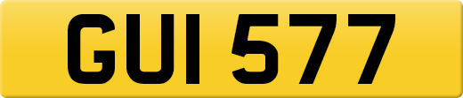 GUI577