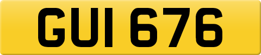 GUI676