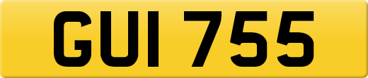 GUI755
