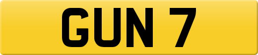 GUN7
