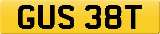 GUS38T