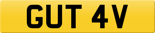 GUT4V
